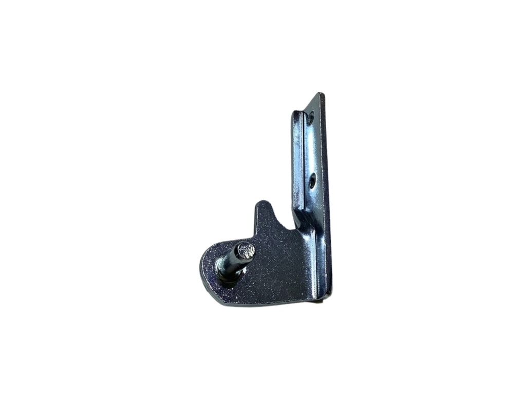 HINGE MIDDLE DOOR RIGHT 