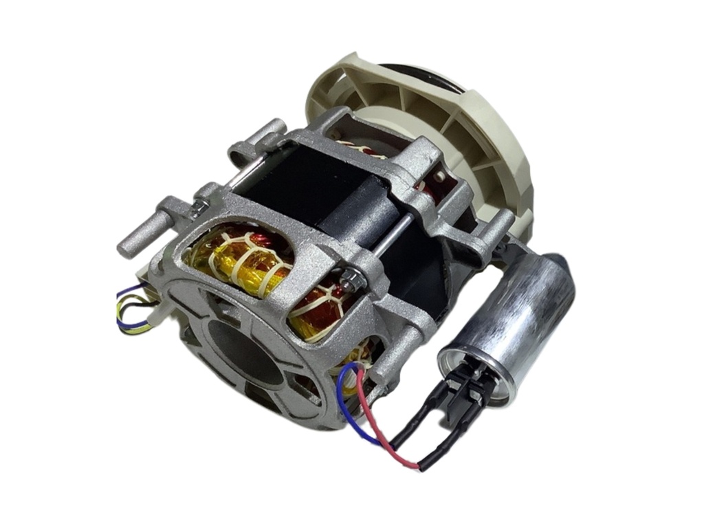 INDUCTION PUMP