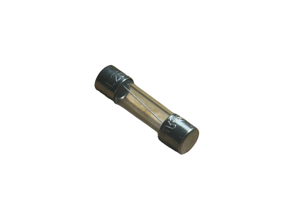 FUSE 10 AMP