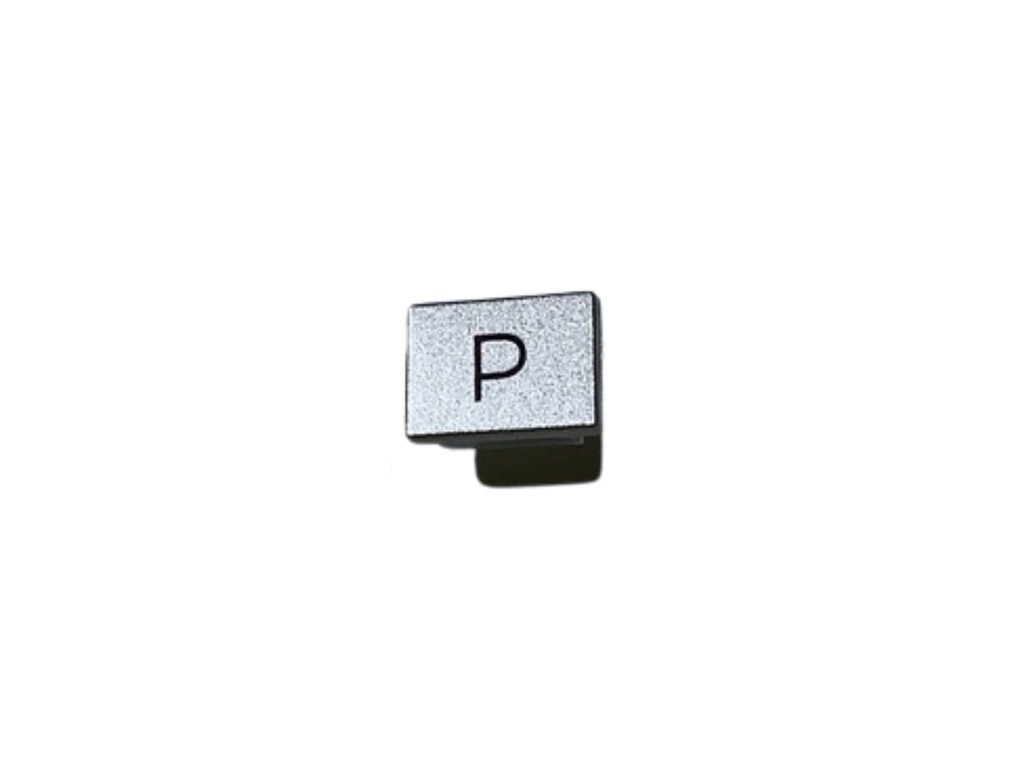 PROGRAM BUTTON