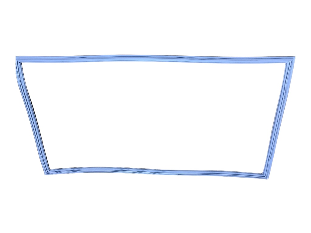 GASKET LOWER DOOR