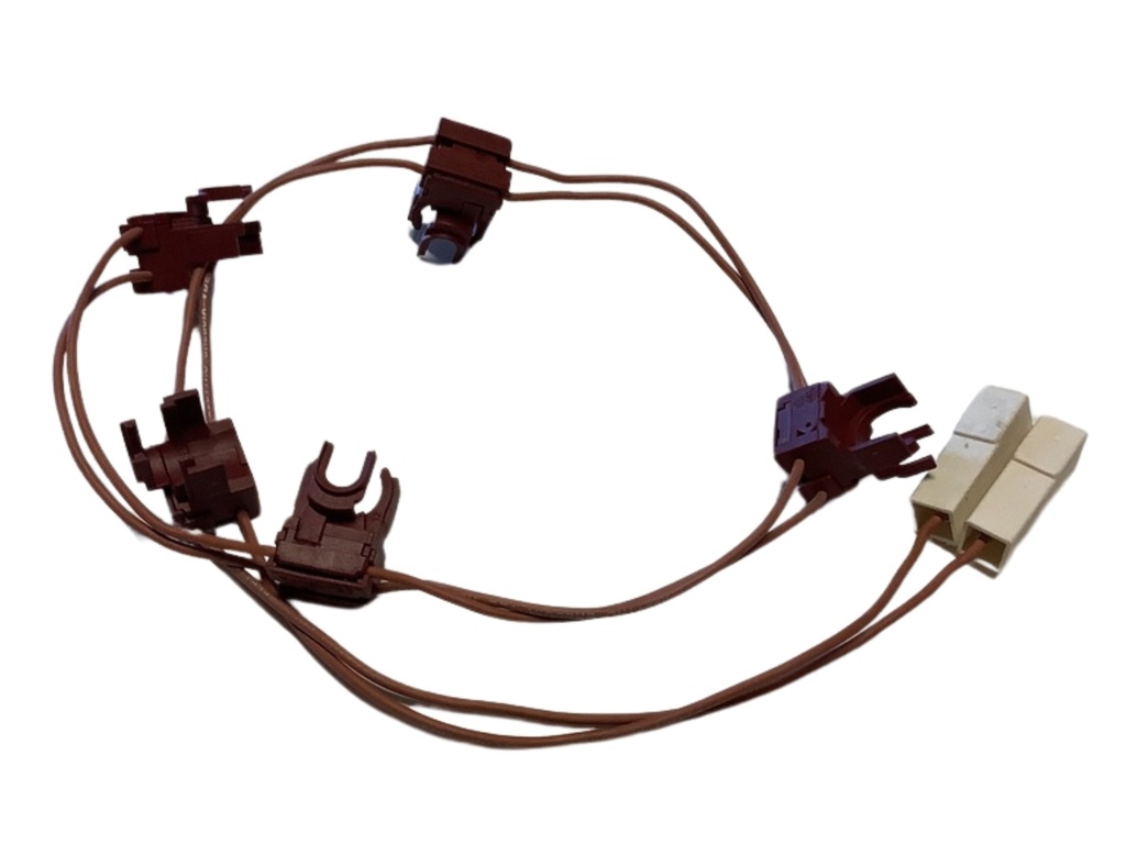 MICROSWITCH GROUP FOR IGNITION