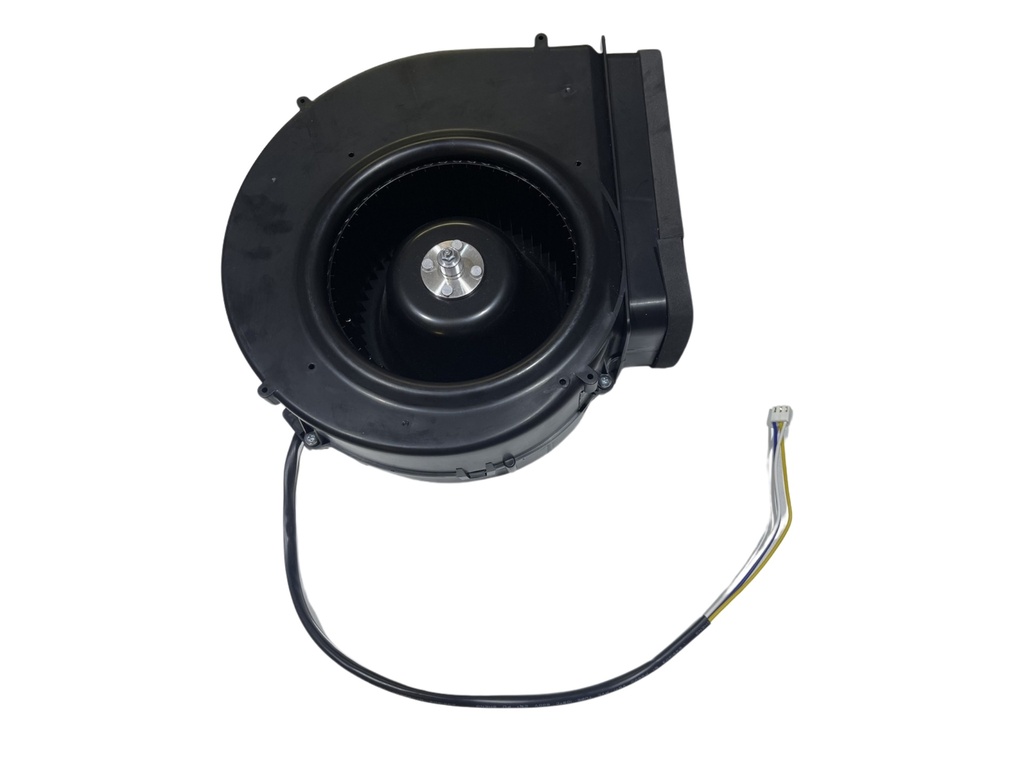 MOTOR ASSEMBLY