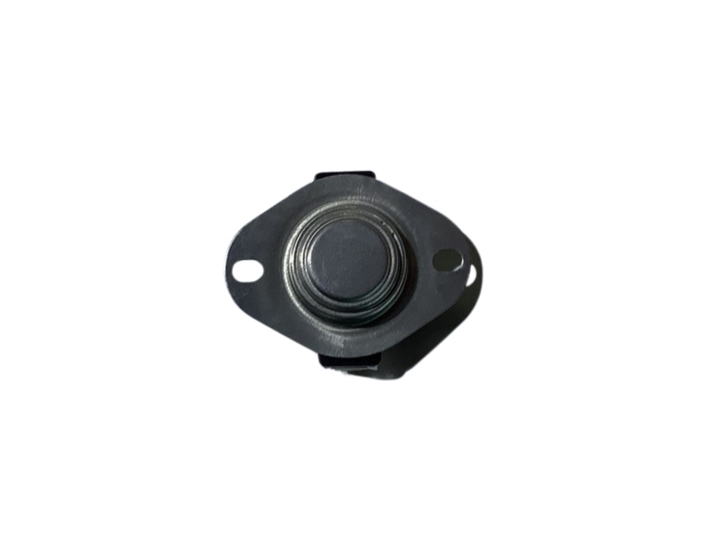 OVERHEAT THERMOSTAT