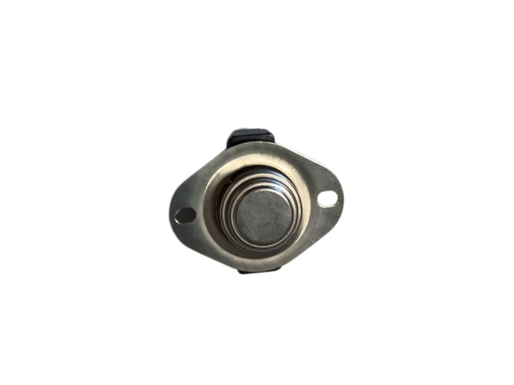 OVERHEAT THERMOSTAT
