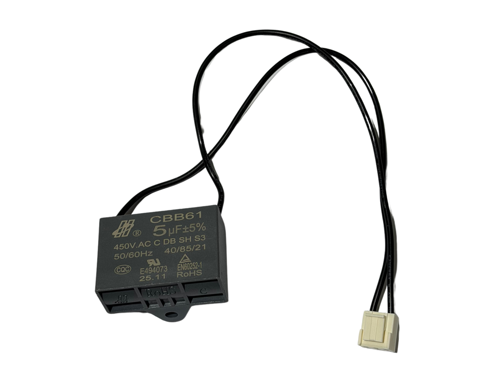 CAPACITOR
