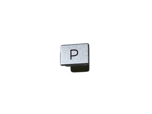 [XM12176000016725] PROGRAM BUTTON